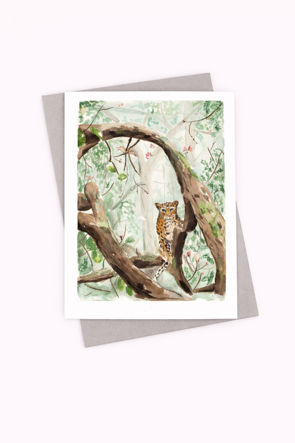 Leopard Illustrated Card - Well Drawn