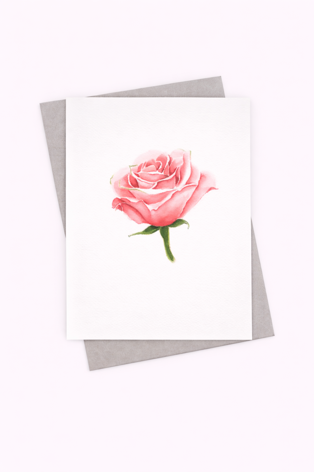 Pink Rose - Well Drawn