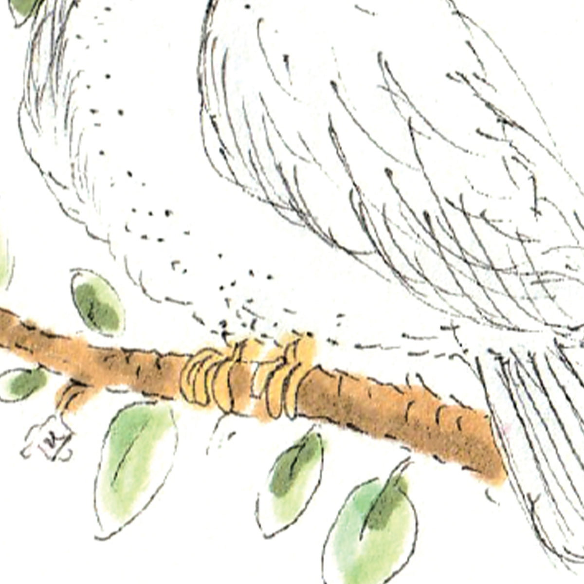 Thoughts And Prayers condolence and bereavement greeting card by Well Drawn Melbourne, image 9