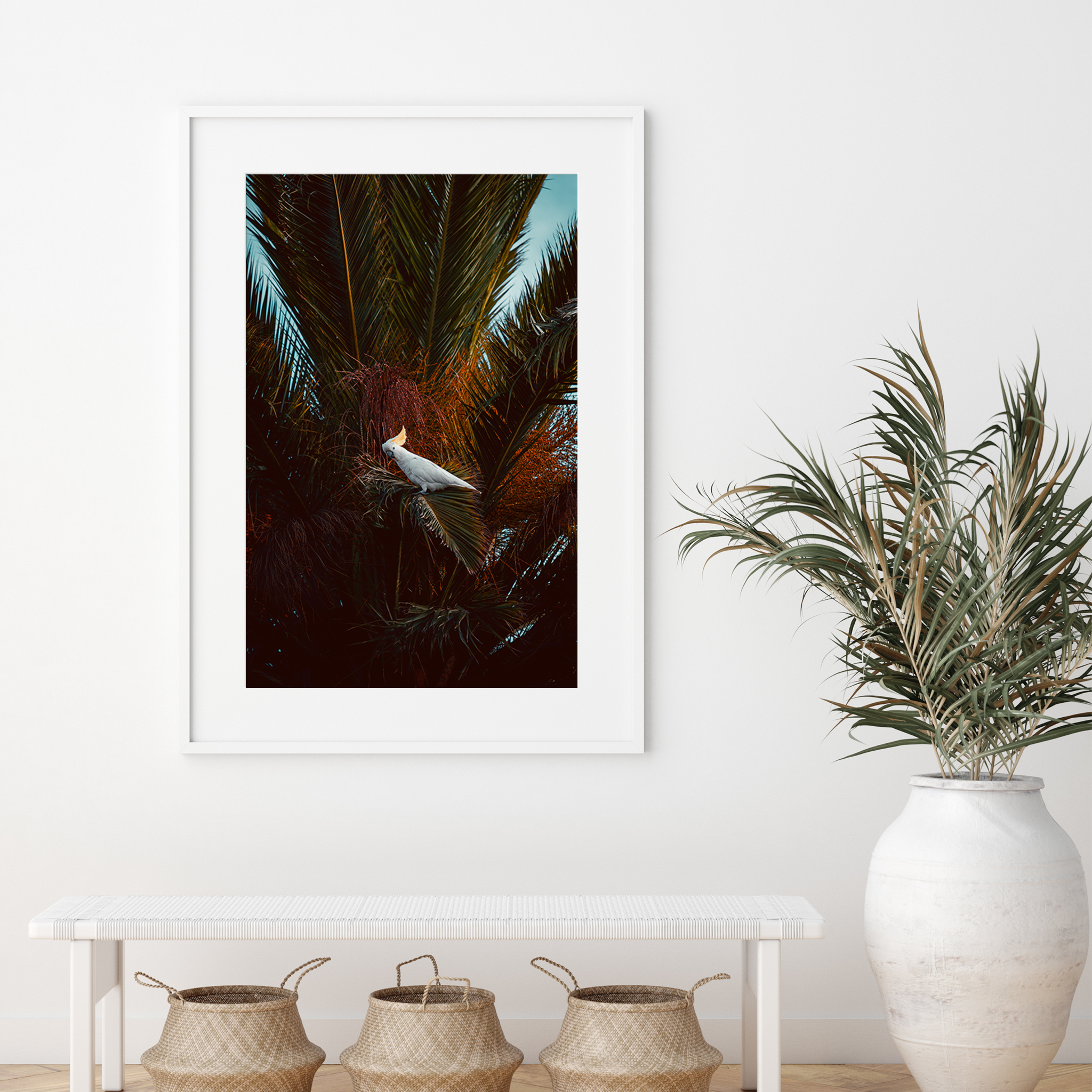 Cockatoo Sunset - by Ash K - Well Drawn