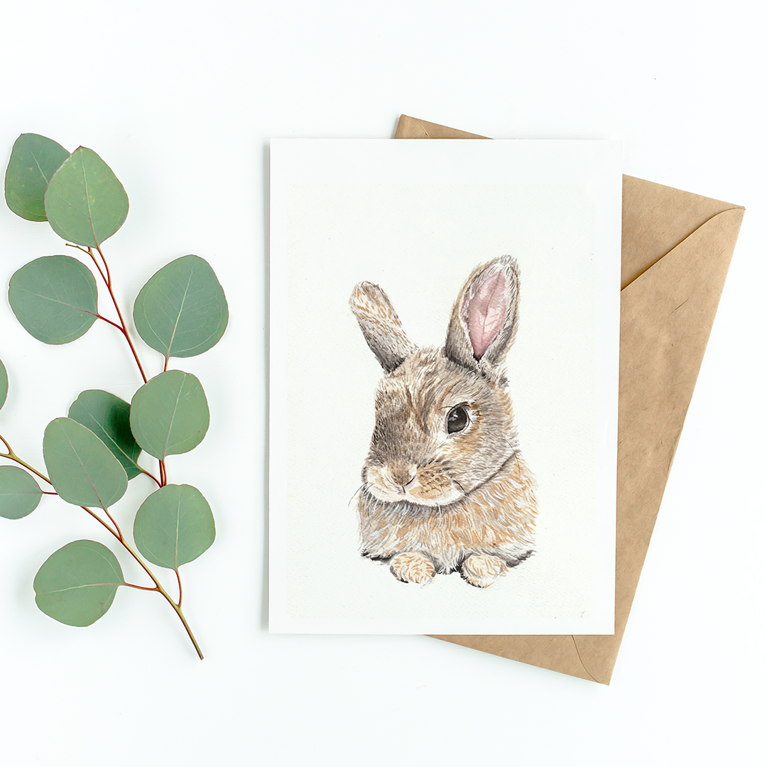 Cute bunny