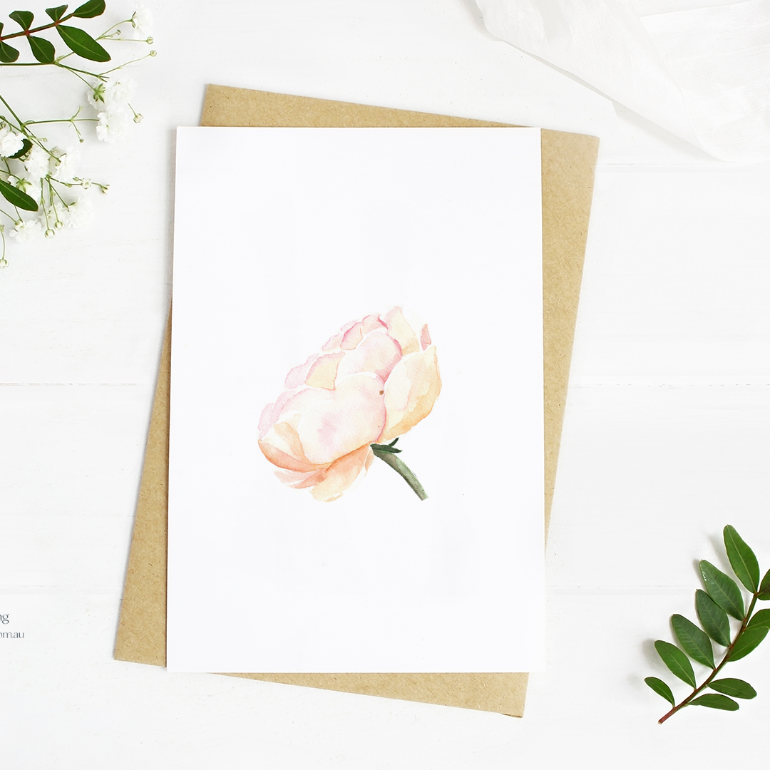 Delicate rose - Well Drawn