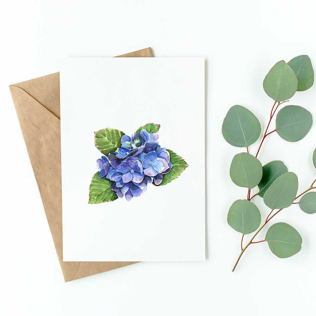 Hydrangea flower - Well Drawn