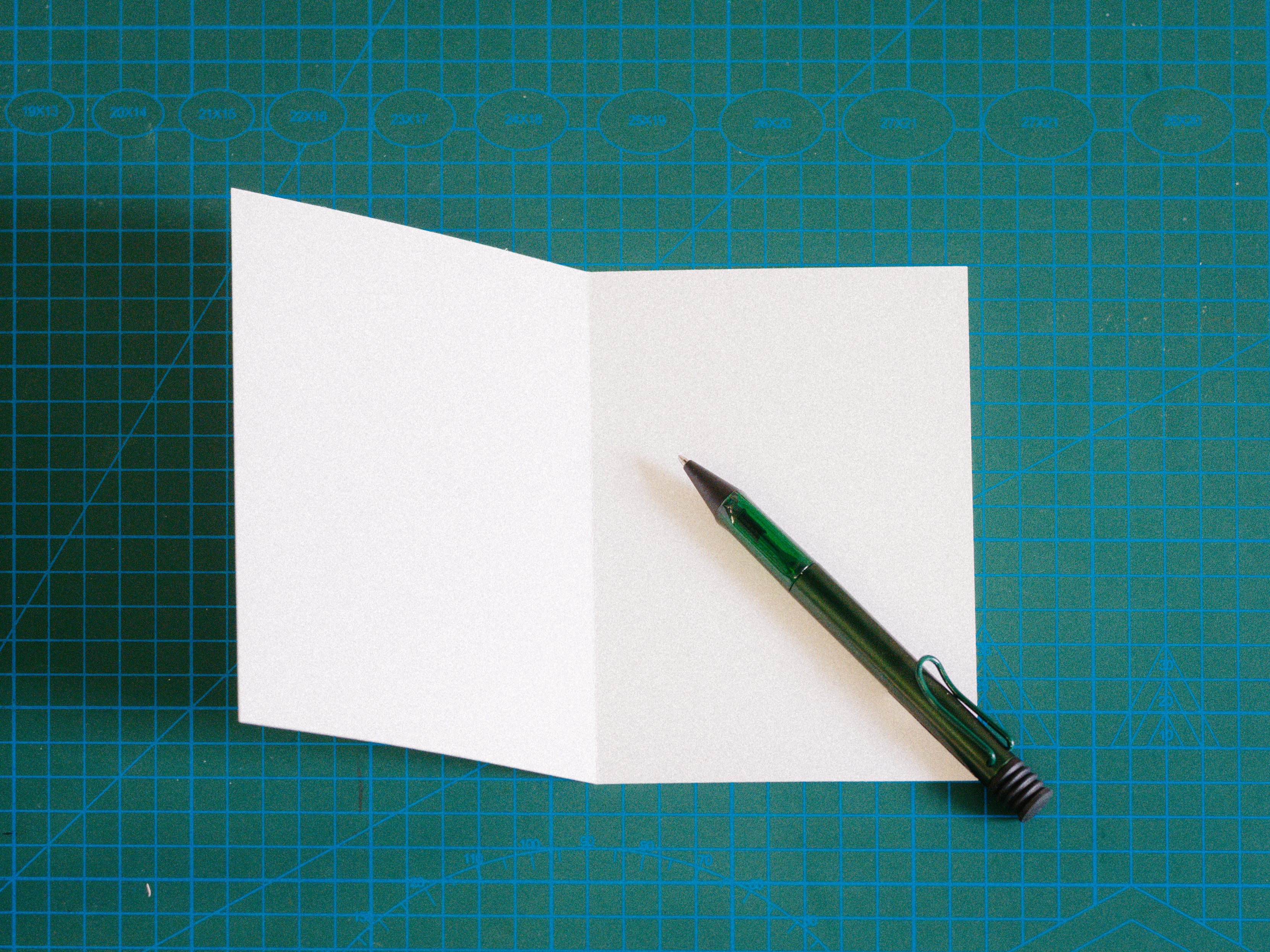 LAMY - AL-Star - Pine - Ballpoint Pen - Well Drawn