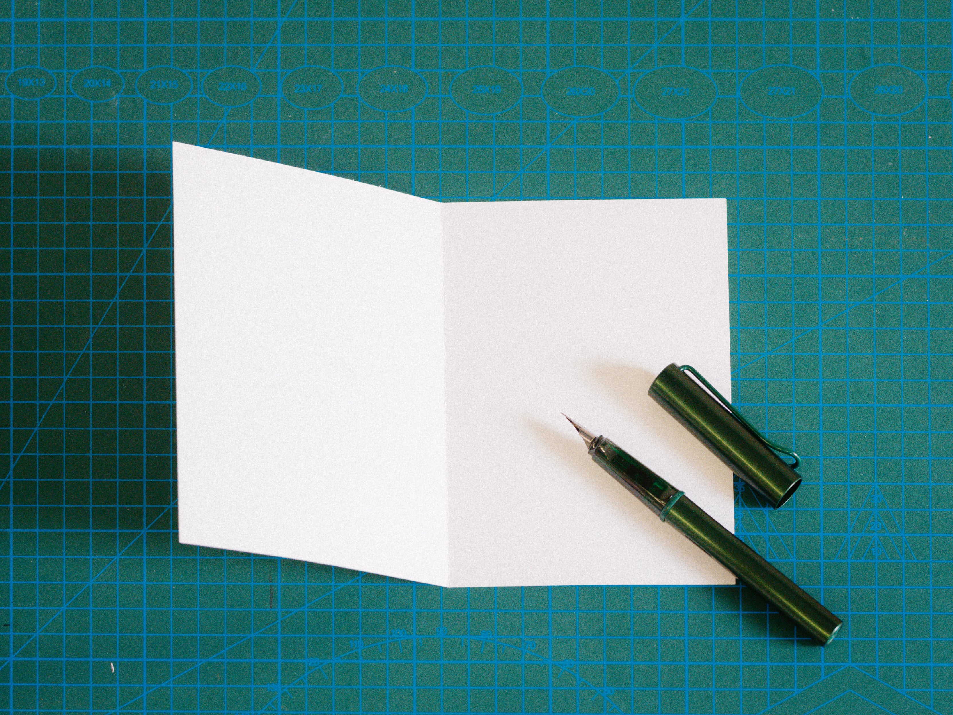 LAMY - AL-Star - Pine - Fountain Pen - Fine - Well Drawn