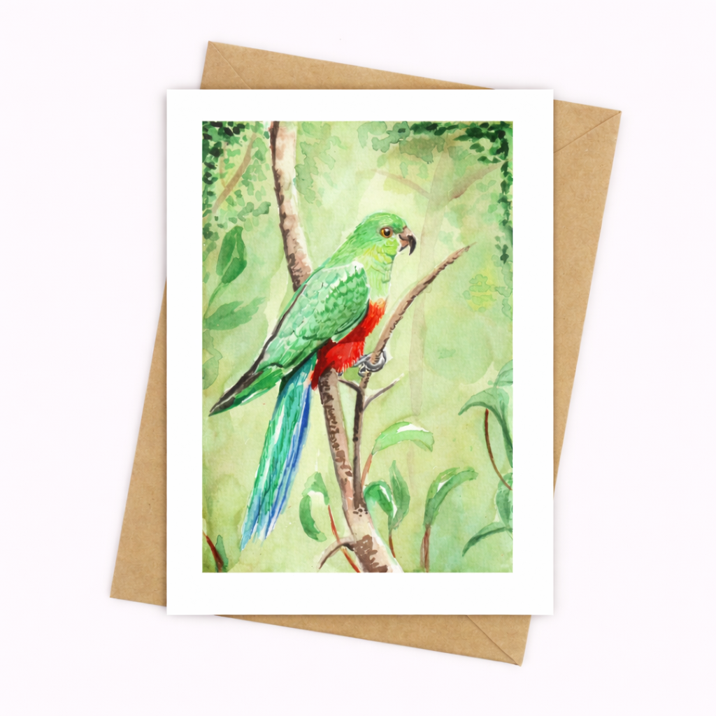 King Parrot - Well Drawn