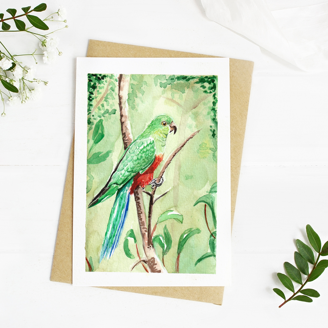 King Parrot - Well Drawn