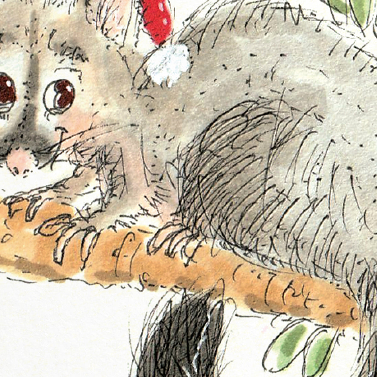Funny Australian possum Christmas greeting card by Well Drawn, image 9
