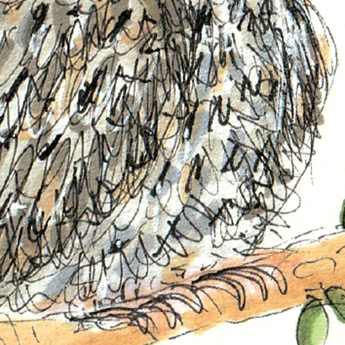 Happy Birthday You're a TAWNY Bit Older tawny frogmouth birthday card by Well Drawn, image 9